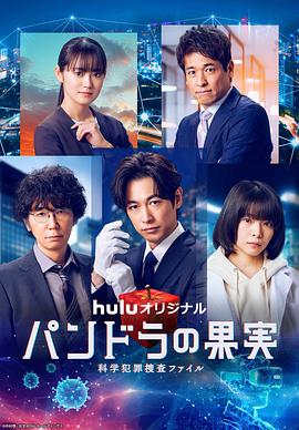 城阳seo优化排名